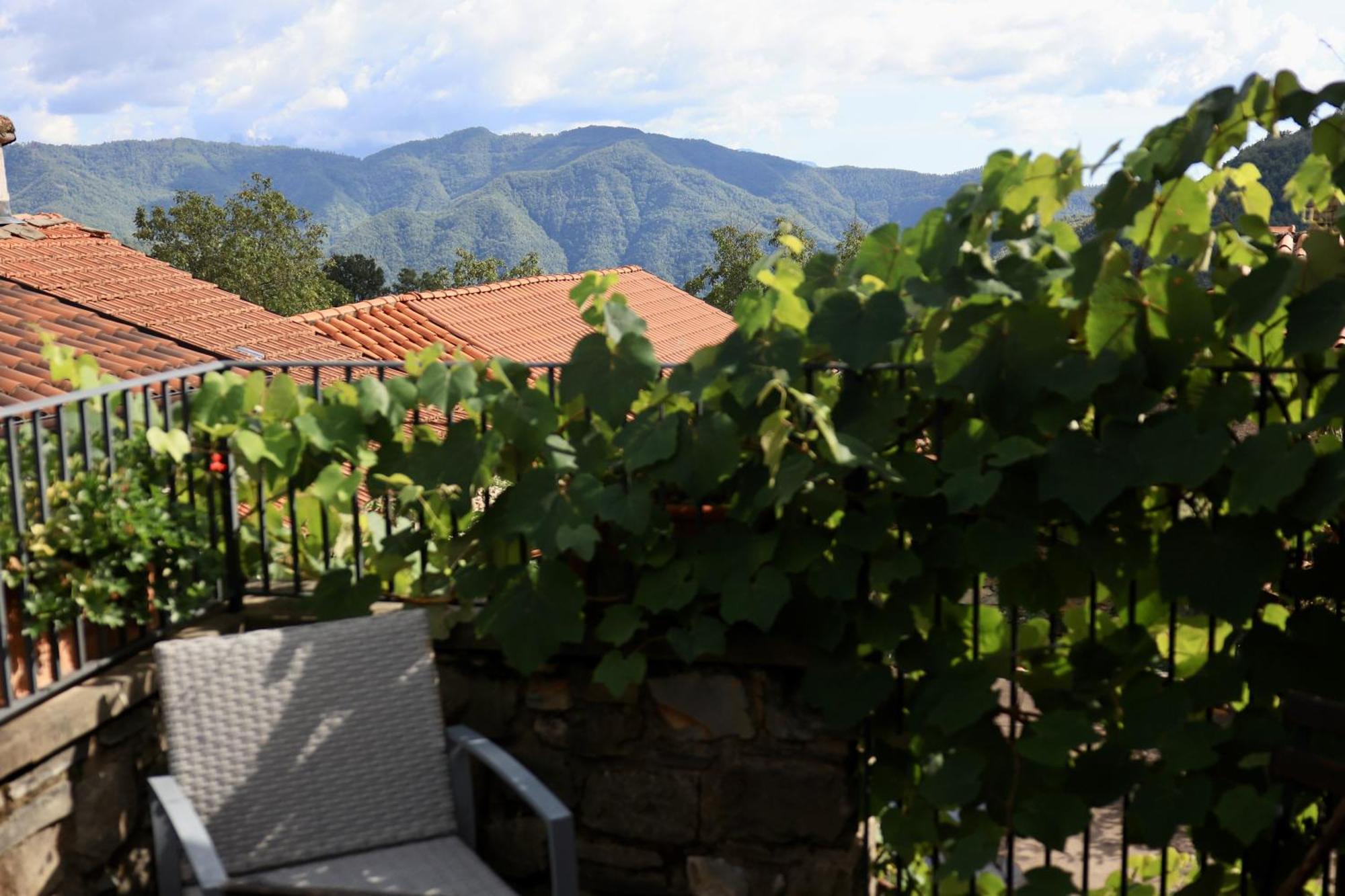 Agriturismo Montagna Verde Apella Licciana Nardi 外观 照片